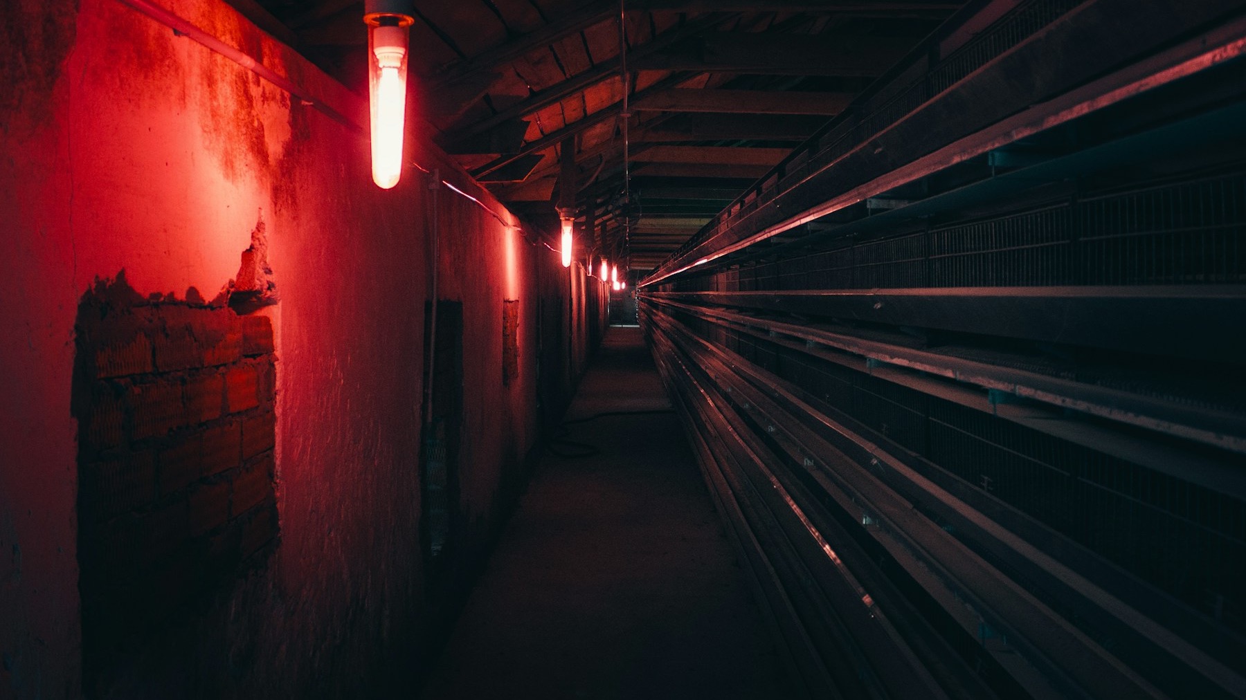 A red-lit corridor disappearing into darkness